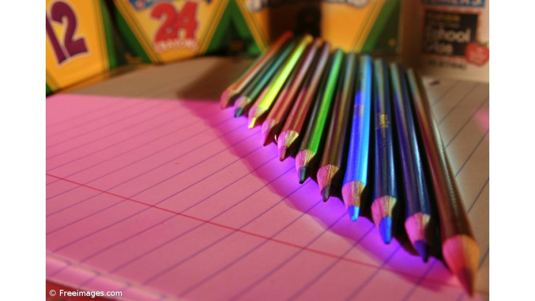 Comunidades lamentam "contínuo desinvestimento" na rede do ensino de português