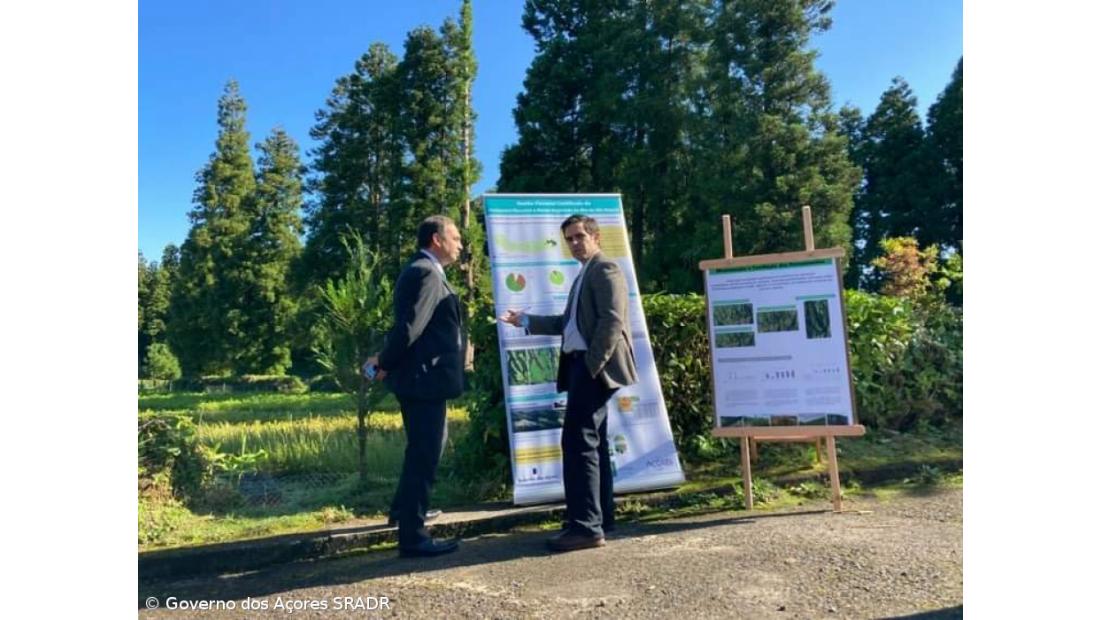 Lançado concurso público para a conservação do perímetro florestal de São Miguel