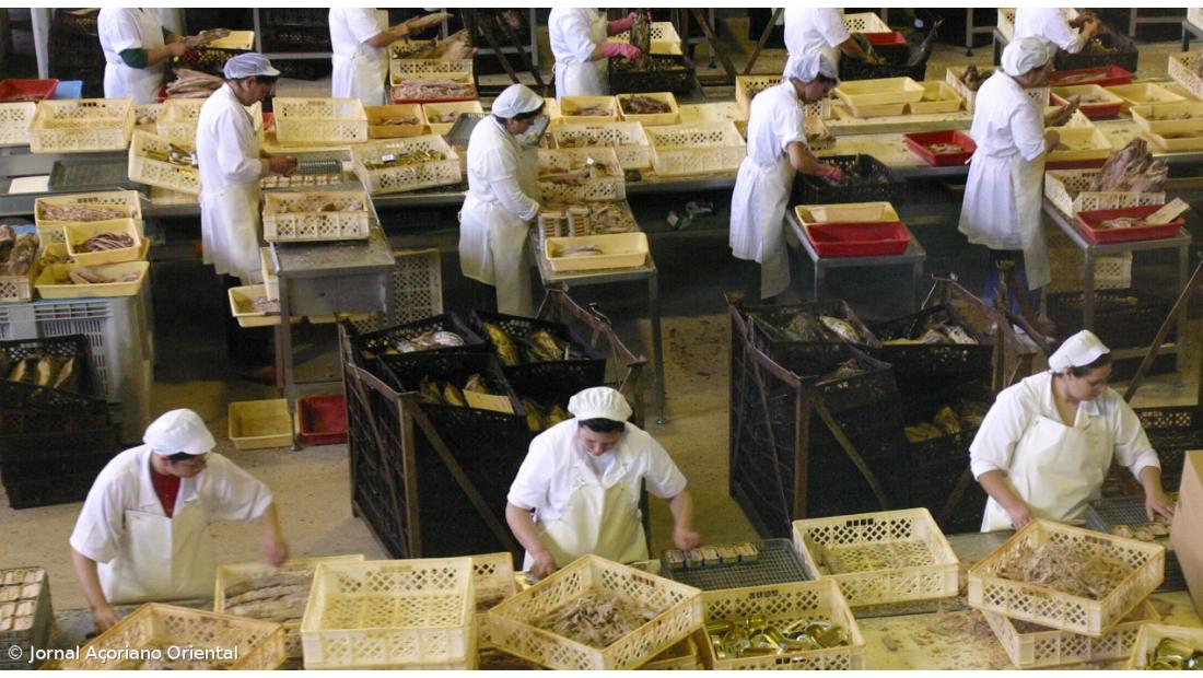 Conserveira Cofaco despede 180 trabalhadores na Madalena do Pico