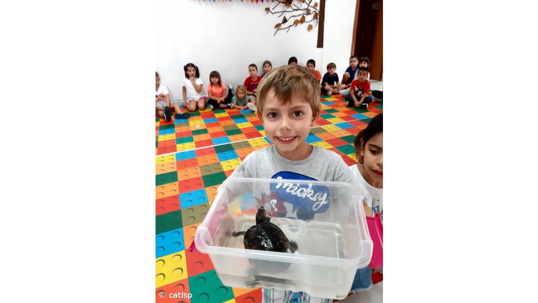 Atividades do Dia Mundial do Animal – Imagem 4