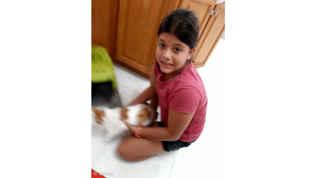 Atividades do Dia Mundial do Animal – Imagem 2