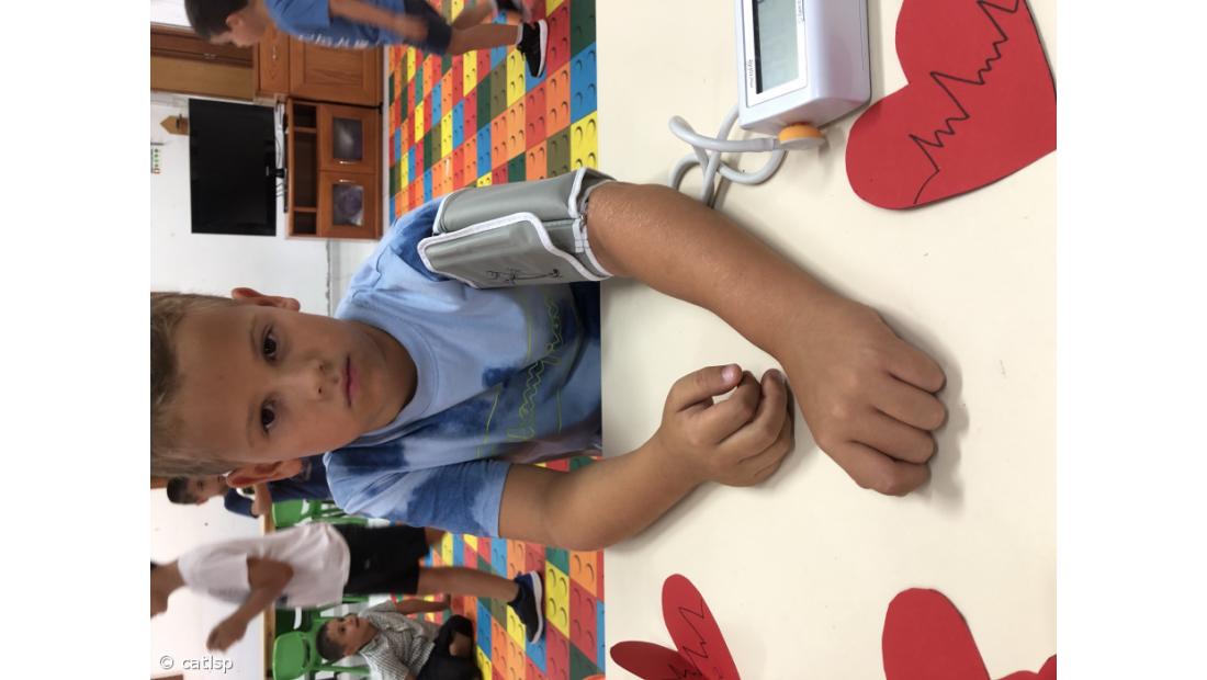 Dia Mundial da Alimentação – Imagem 1