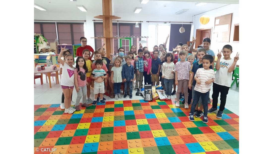 Recolha de Alimentos para Gato – Imagem 3