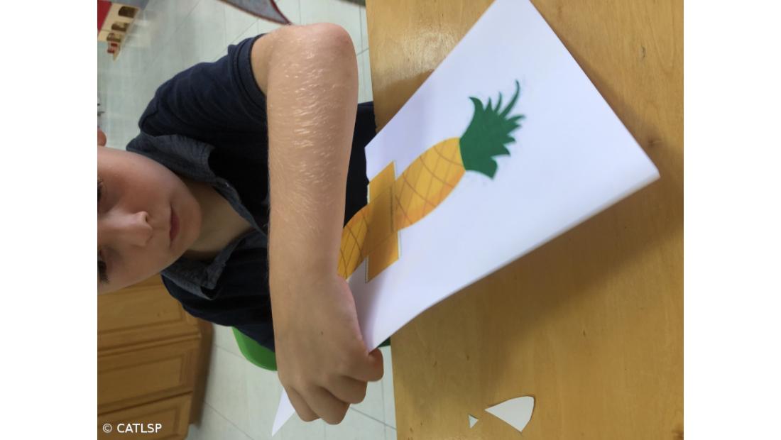 Dia Mundial da Alimentação – Imagem 2