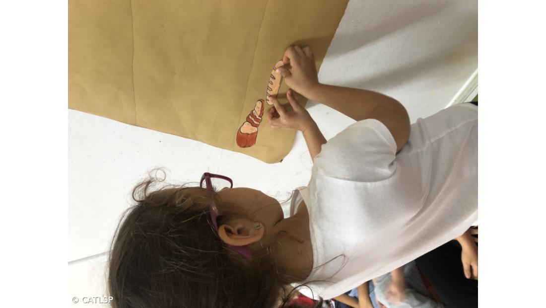 Dia Mundial da Alimentação – Imagem 9