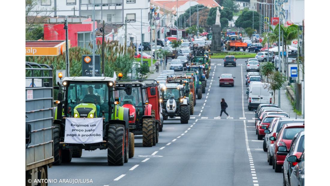 Produtores de leite e de carne da ilha Terceira sairam à rua em protesto – Imagem 3