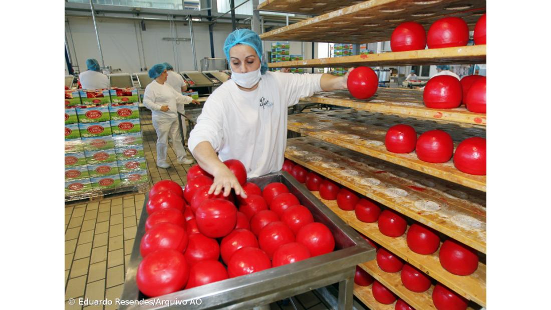 Indústrias de Laticínios pedem ao governo para mediar preço