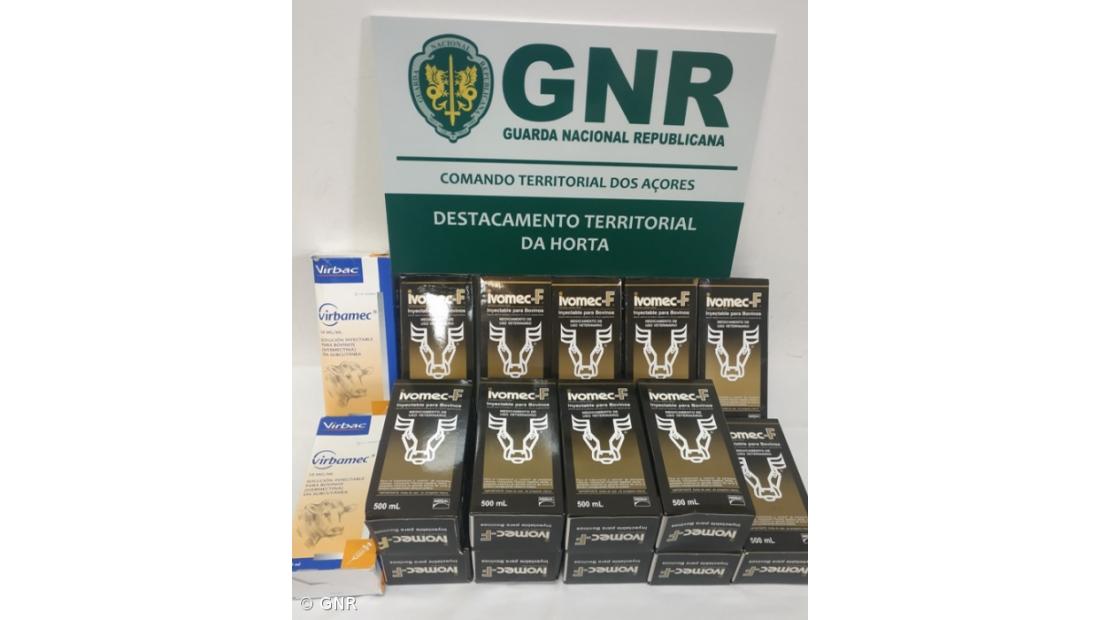 Apreensão de medicamentos veterinários nas ilhas do Faial, Pico e São Jorge  – Imagem 2