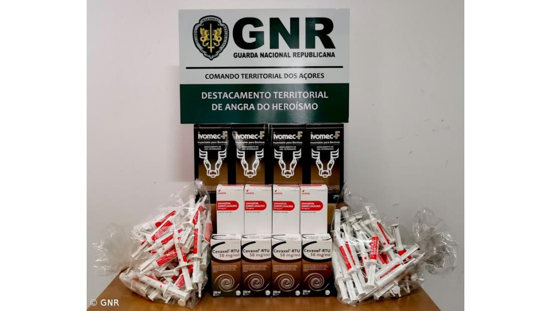 Apreensão de medicamentos veterinários nas ilhas do Faial, Pico e São Jorge  – Imagem 3