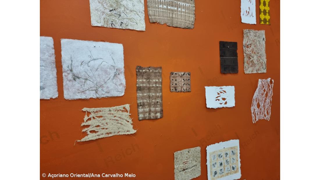 Materiais naturais são base das criações em papel de Anne Bruyere – Imagem 3