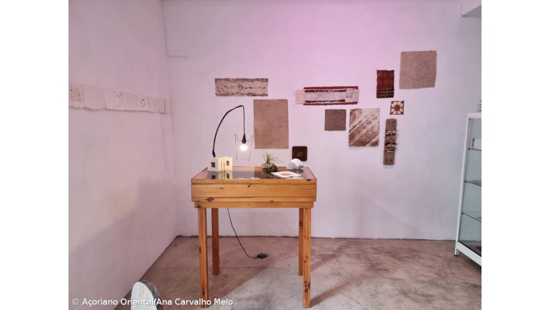 Materiais naturais são base das criações em papel de Anne Bruyere – Imagem 4