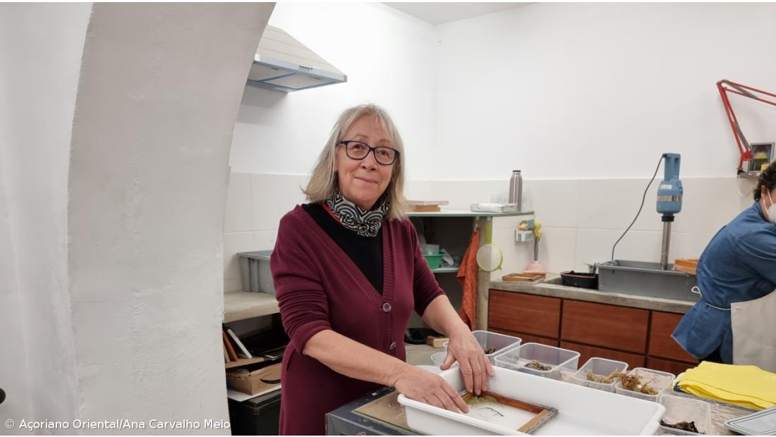 Materiais naturais são base das criações em papel de Anne Bruyere – Imagem 7