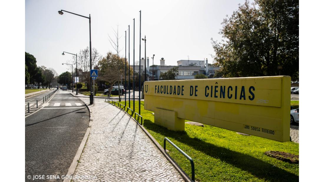 Ministério da Educação esclarece que eventual descongelamento das propinas será só em 2026