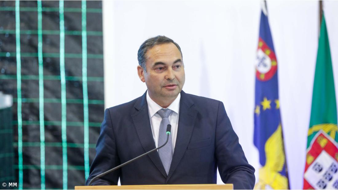 Açores aprovam 329 projetos para investimentos em explorações agropecuárias