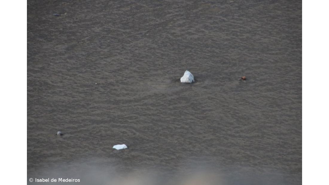 Associação Anda&Fala atribuiu 13 bolsas a projetos artísticos nos Açores