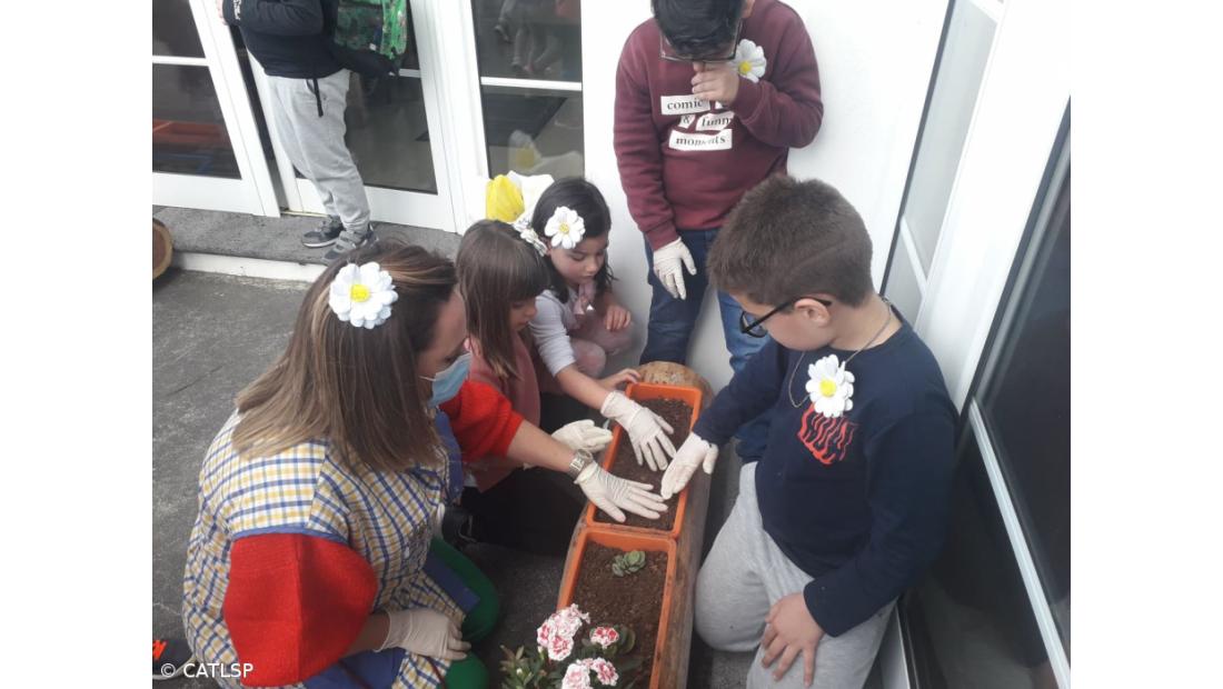 Primavera – Imagem 18