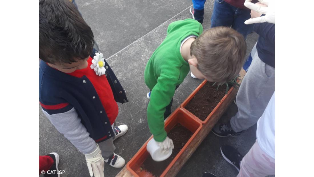 Primavera – Imagem 17