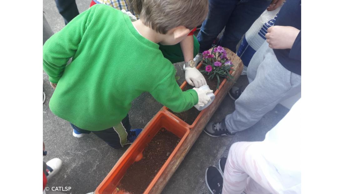 Primavera – Imagem 10