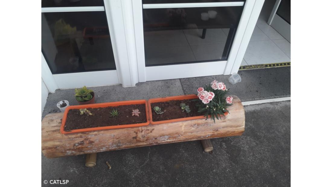 Primavera – Imagem 14