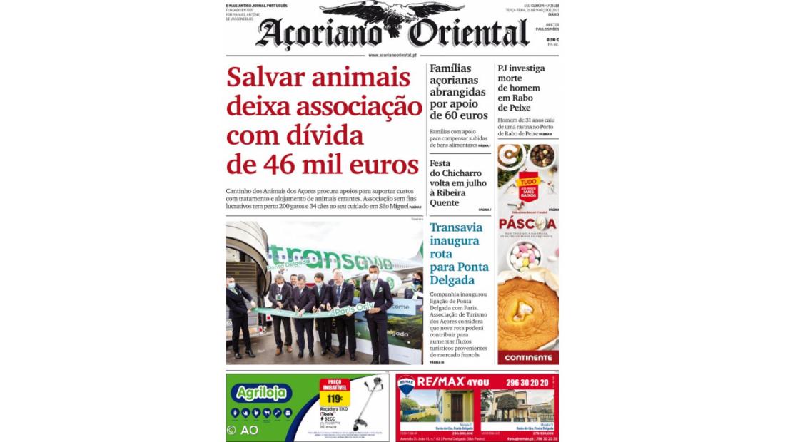 Salvar animais deixa associação com dívida  de 46 mil euros