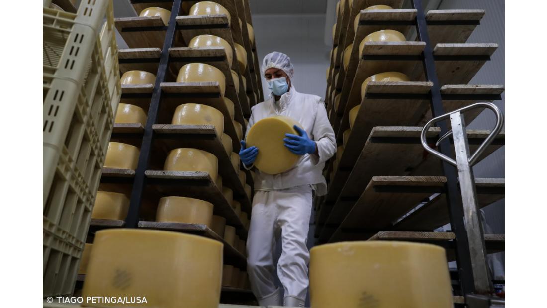 Produtores de queijo de São Jorge reivindicam mais apoios