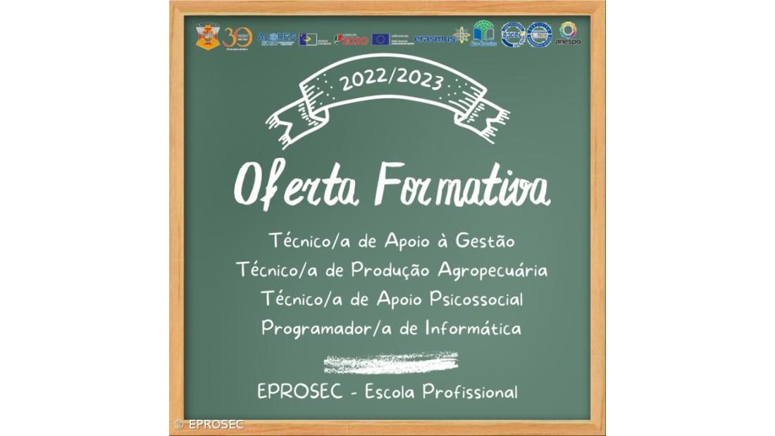 Novos Cursos Profissionais