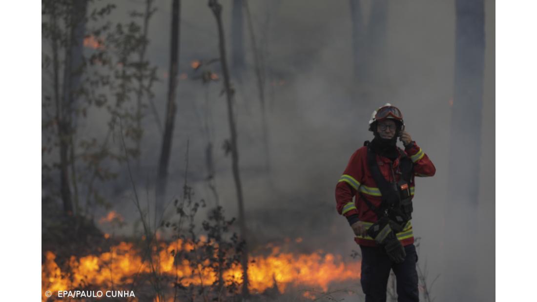 Mais de 620 bombeiros combatem incêndio na Covilhã, EN338 continua cortada