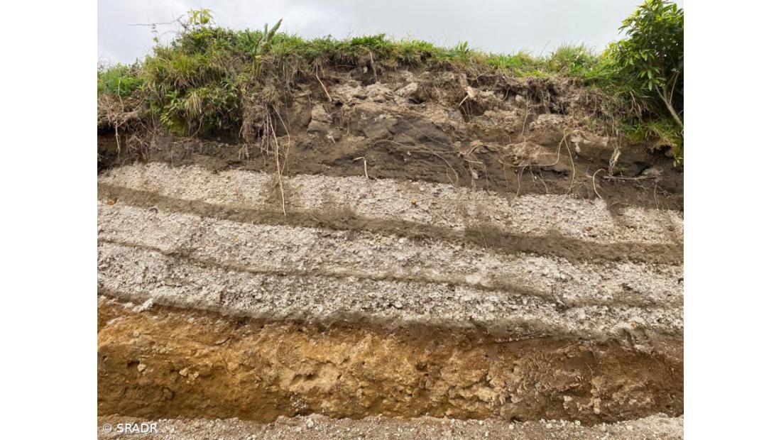 Agricultores têm nova ferramenta para melhorar utilização dos solos