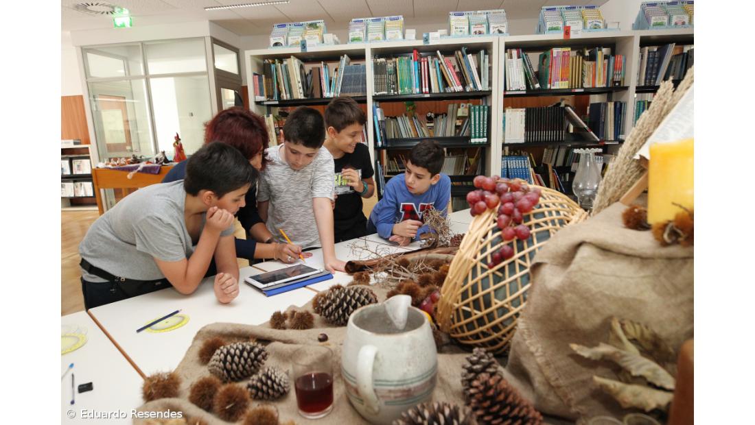 Educação integra todas as bibliotecas escolares na Rede