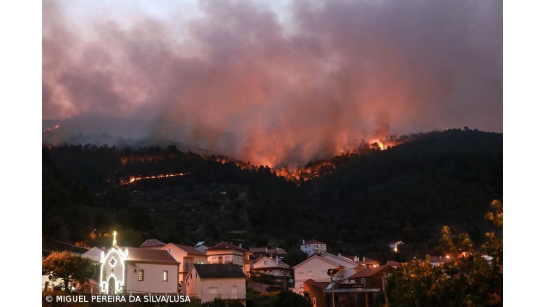 Seguradoras pagam indemnizações de 11 ME pelos fogos de julho e agosto