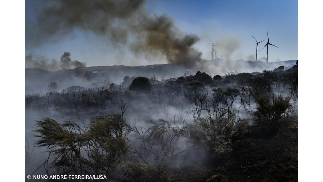 Doze meios aéreos e mais de 1.250 operacionais no combate na serra da Estrela