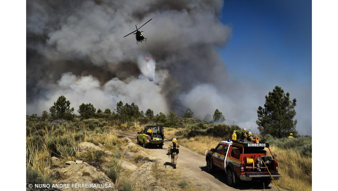 MAI diz que forças de combate têm de habituar-se a incêndios extremos