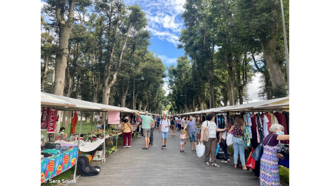 Feira das Traquitanas: 15 anos a promover o convívio  – Imagem 6