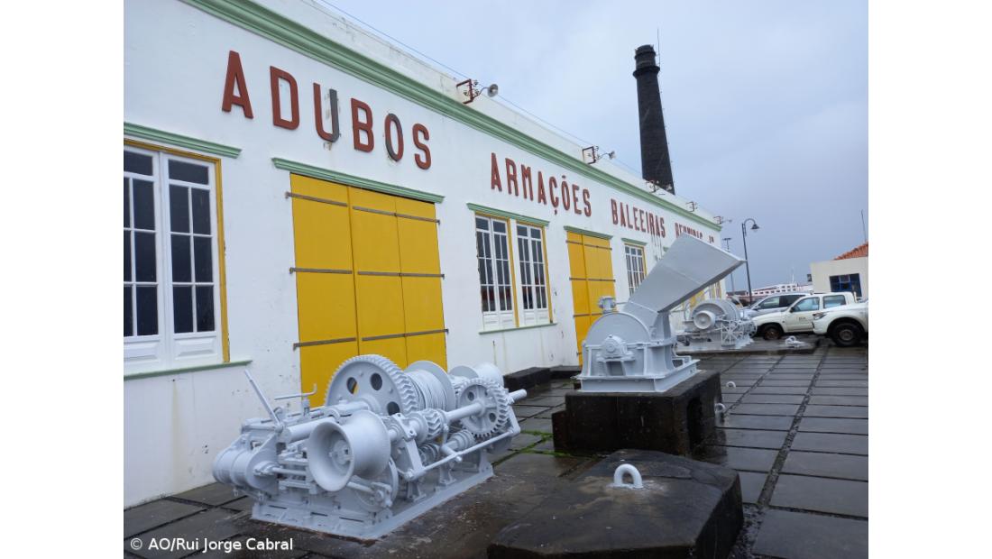 Ordem dos Engenheiros Técnicos em congresso no Pico