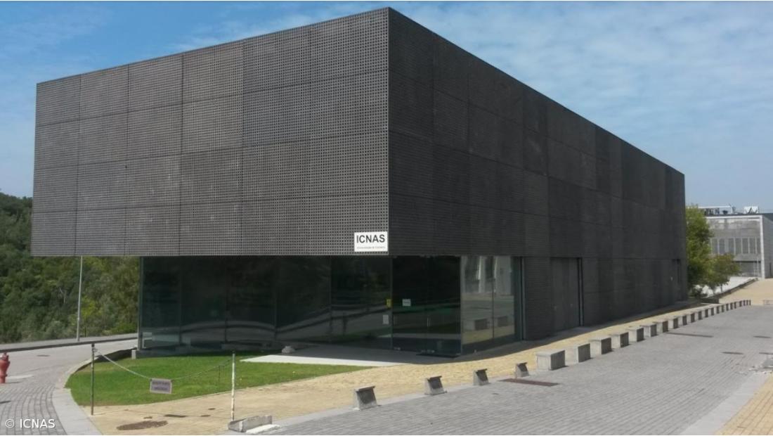 Universidade de Coimbra procura voluntários para estudo sobre envelhecimento