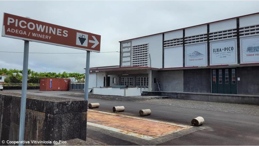 Açores com primeiro espumante certificado da Cooperativa Vitivinícola do Pico