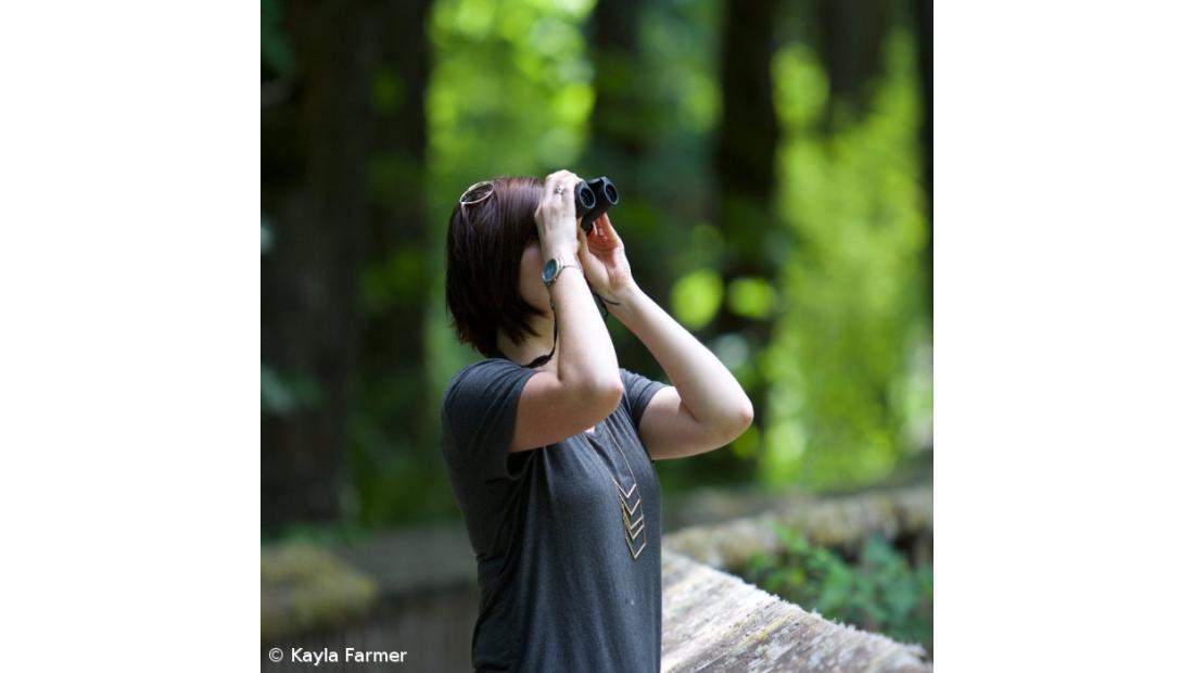 Observação de aves dinamiza turismo na pequena ilha do Corvo