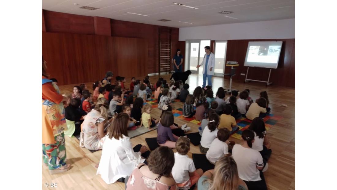 "Bem-estar animal" – Imagem 4