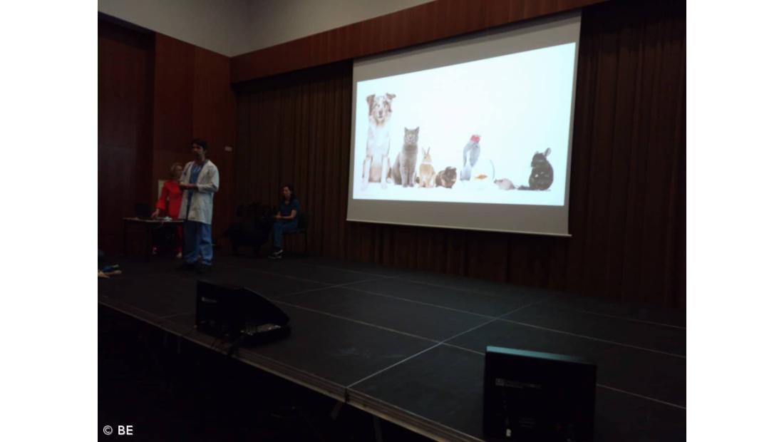 "Bem-estar animal" – Imagem 6