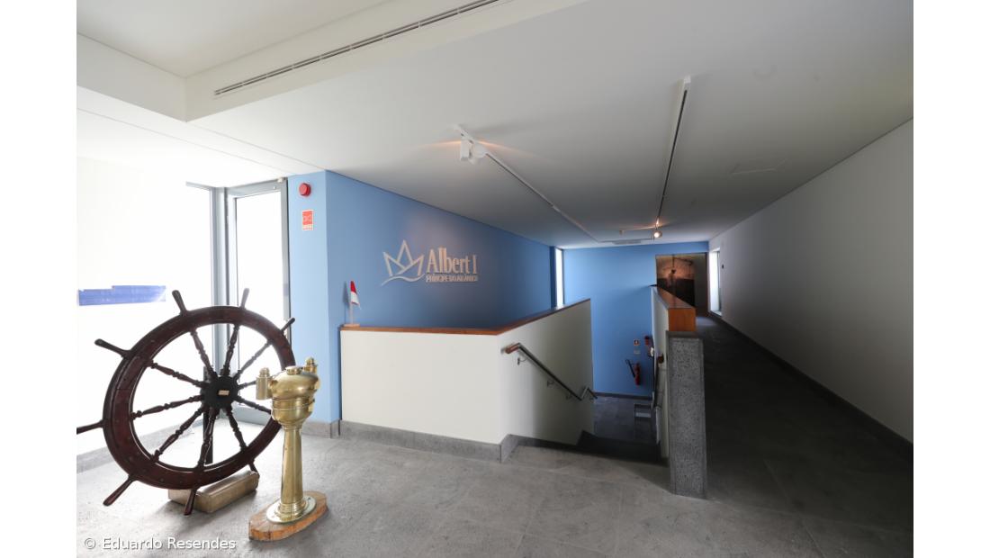 Museu dedica exposição ao Príncipe do Atlântico – Imagem 3
