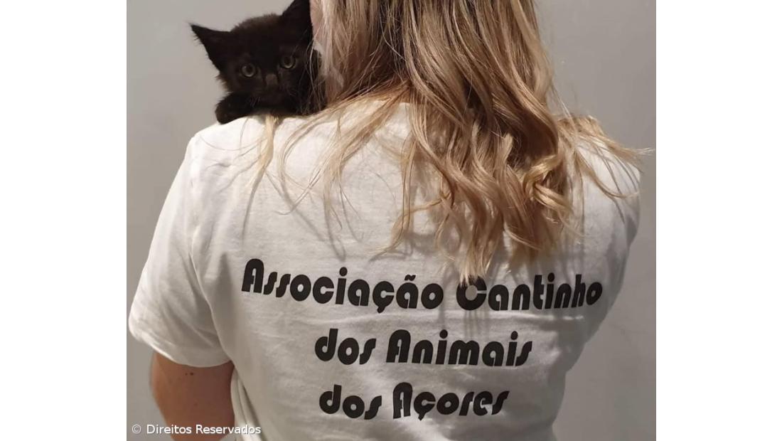 Associação de defesa dos animais bate recorde de castrações em 2022
