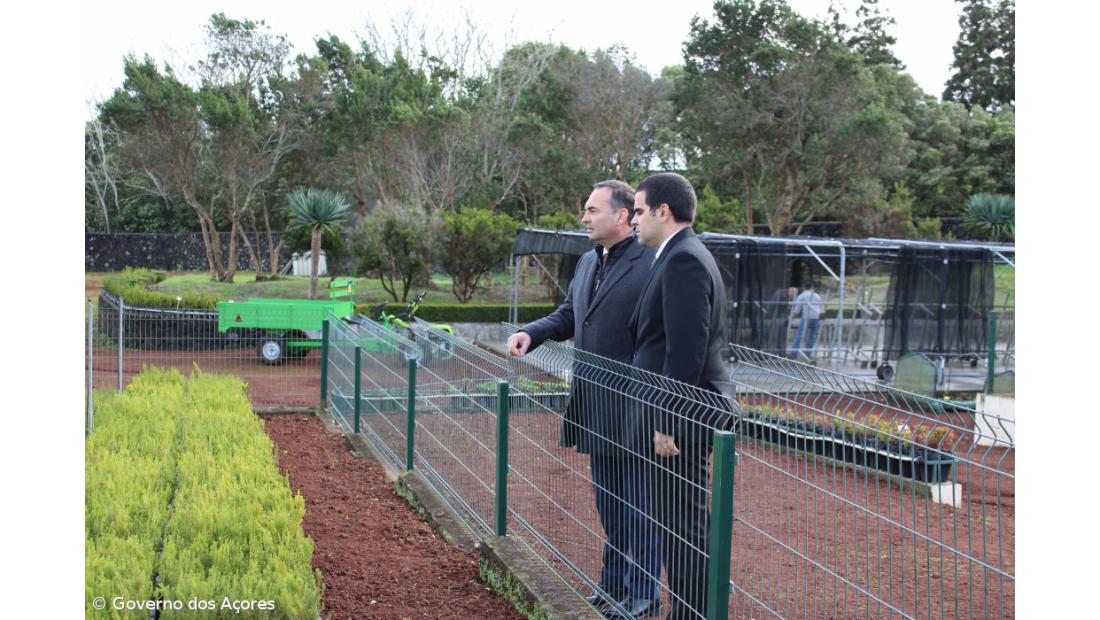 Viveiros florestais dos Açores produzem anualmente dois milhões de plantas – Imagem 1