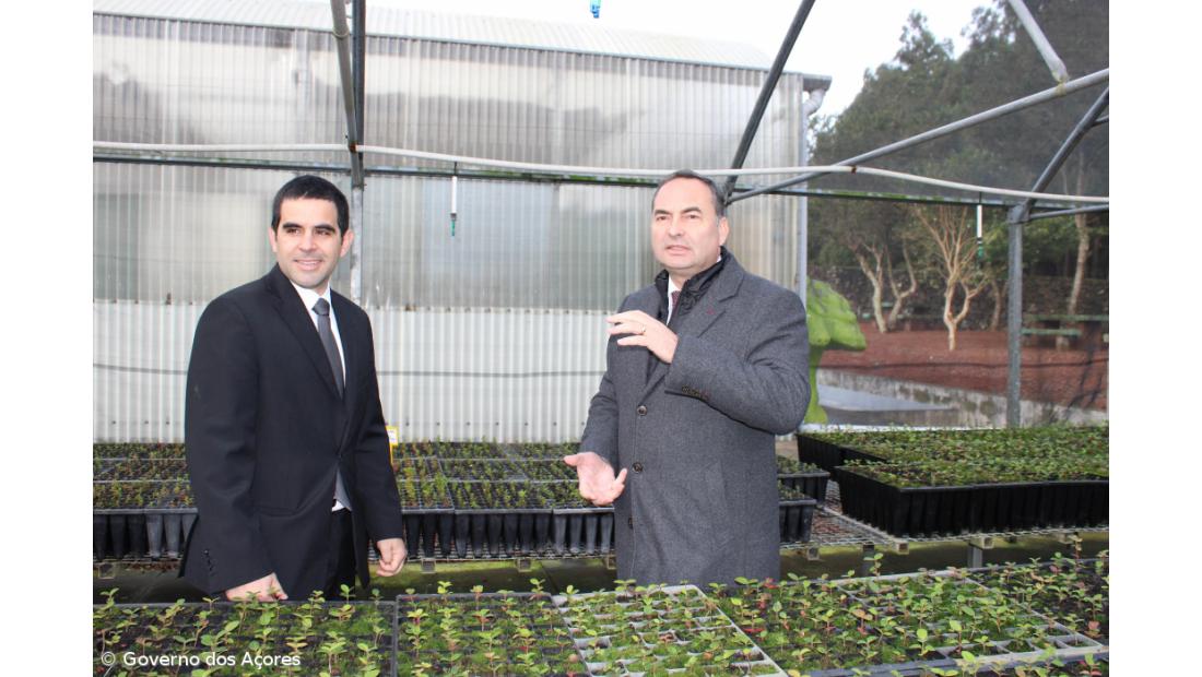 Viveiros florestais dos Açores produzem anualmente dois milhões de plantas – Imagem 2