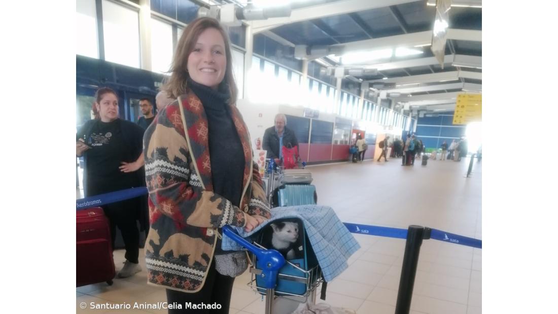 Paixão por bichos leva estrangeiras a criar o Santuário Animal do Pico – Imagem 2