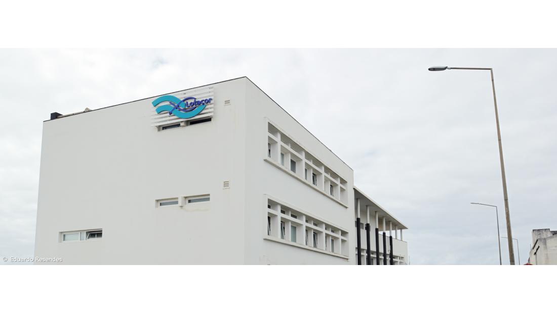 Nova presidente da Lotaçor define obras na lota de Ponta Delgada como prioridade