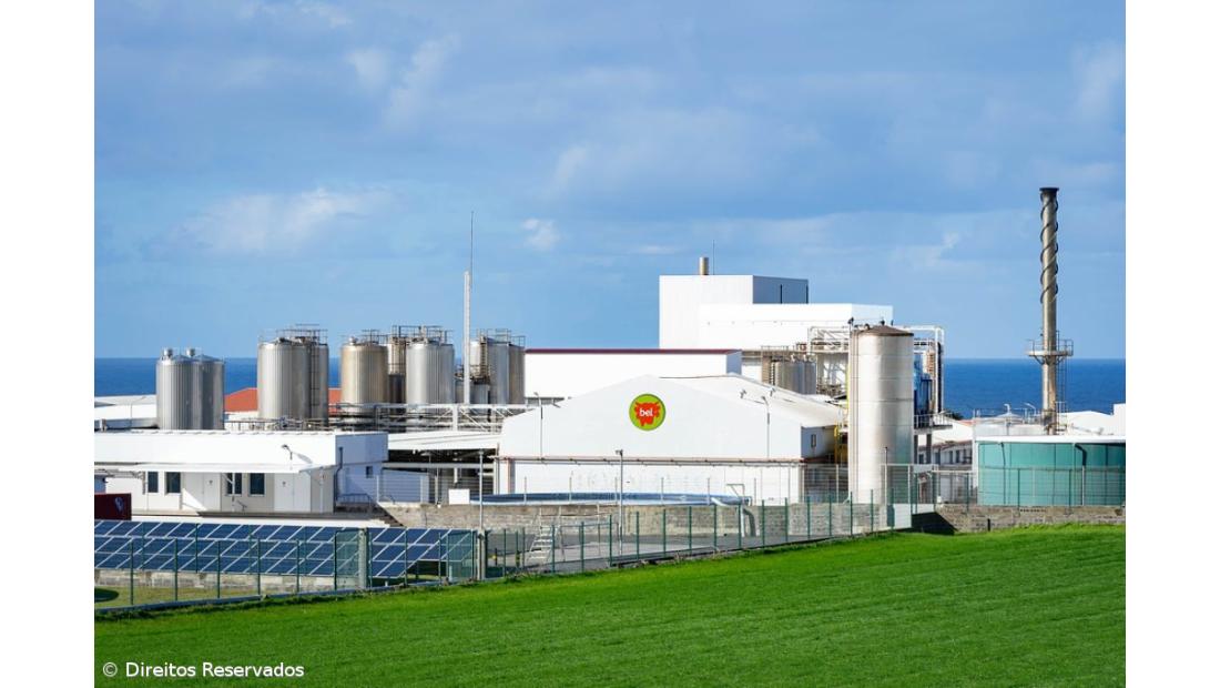 Engie vai instalar caldeira a biomassa na fábrica da Bel Portugal nos Açores