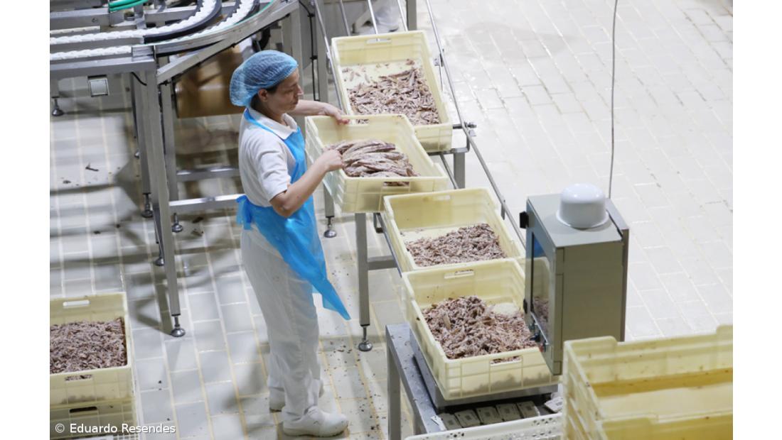 Indústria apreensiva com crise no setor do atum nos Açores