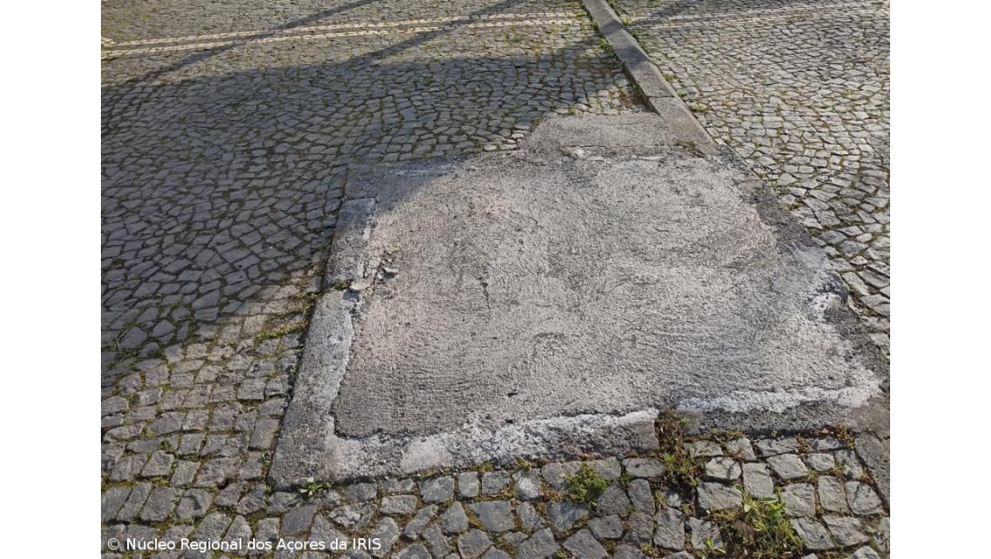 Amigos dos Açores dizem não ter dado parecer positivo a abate de árvores
