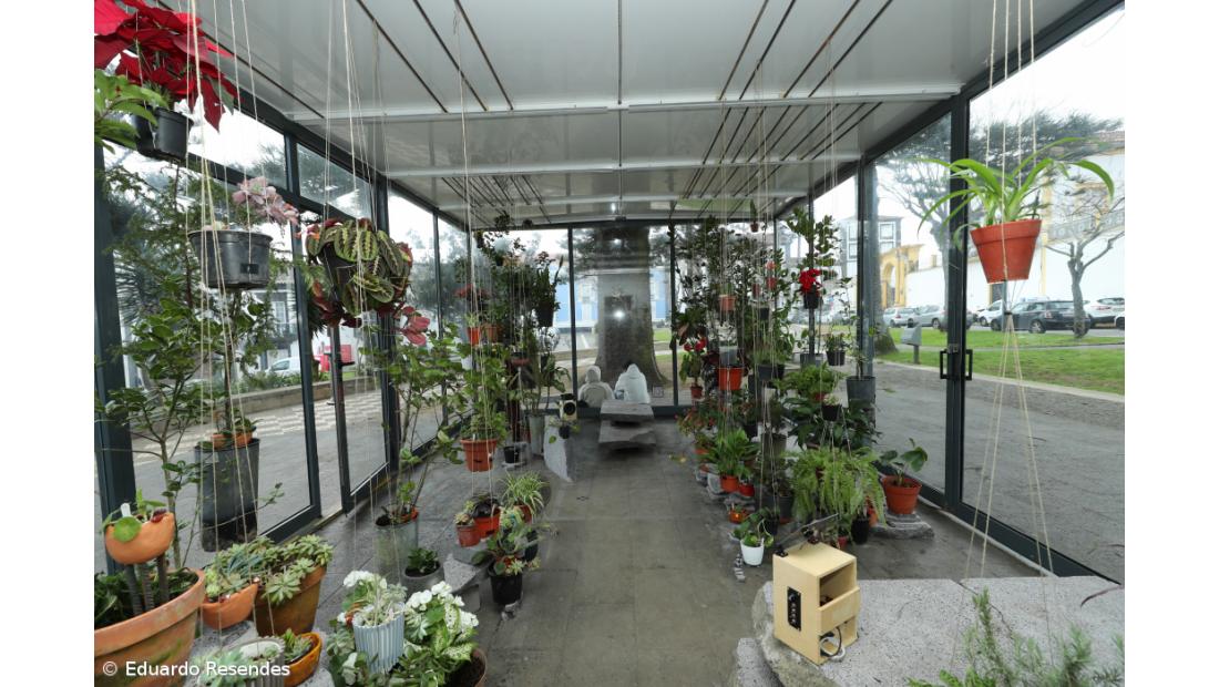Bioinstalação revitaliza espaço em Ponta Delgada – Imagem 2