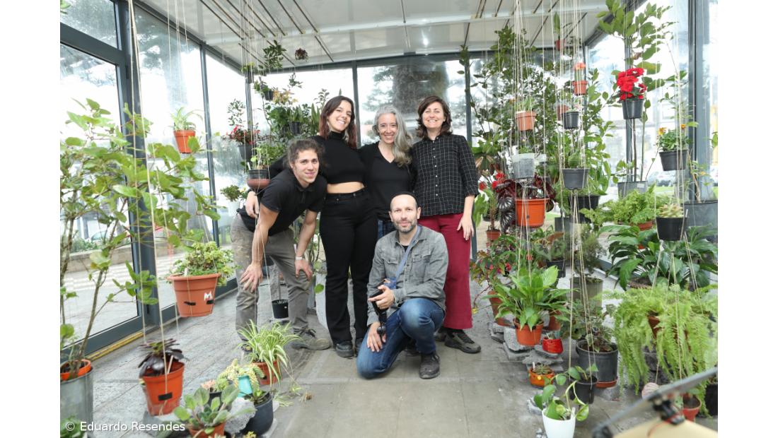 Bioinstalação revitaliza espaço em Ponta Delgada – Imagem 3